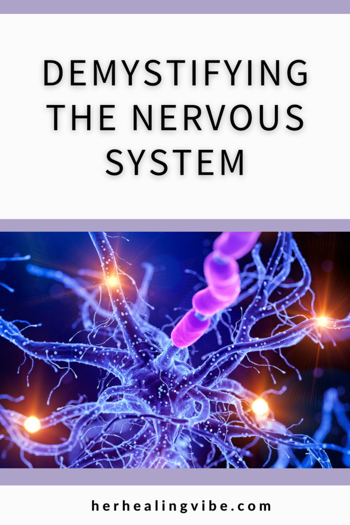 the basics of the nervous system