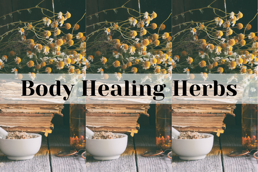 body healing herbs