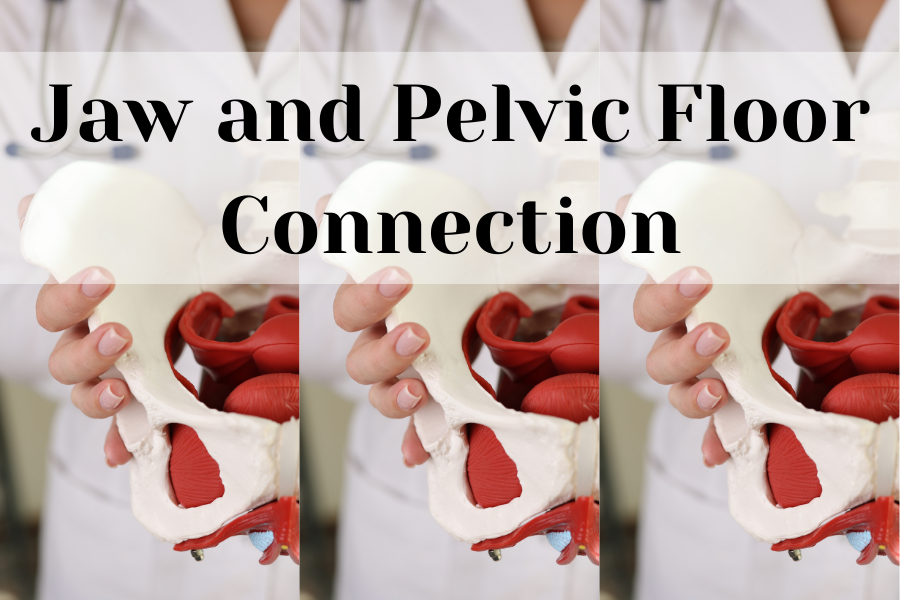 jaw and pelvic floor connection