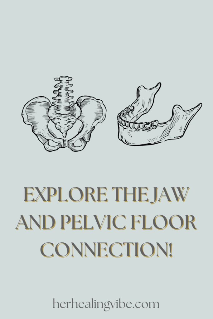 pelvis and jaw connection